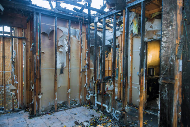 Professional Fire Damage Removal technician working in Bel Air, MD